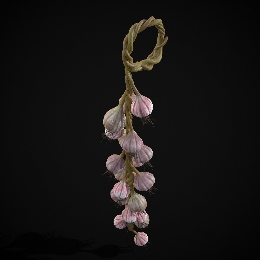 Hanging Garlic 3D Model – Low Poly PBR Asset, FBX & OBJ Formats - View 16