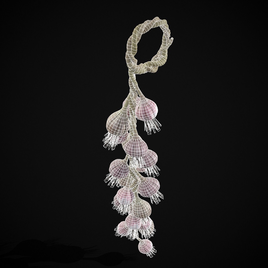 Hanging Garlic 3D Model – Low Poly PBR Asset, FBX & OBJ Formats - View 17