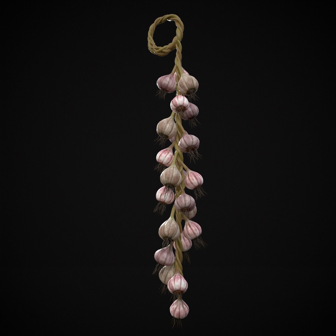 Hanging Garlic 3D Model – Low Poly PBR Asset, FBX & OBJ Formats - View 18
