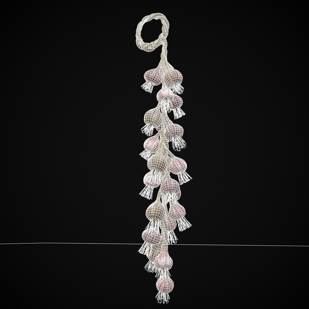 Hanging Garlic 3D Model – Low Poly PBR Asset, FBX & OBJ Formats - View 19