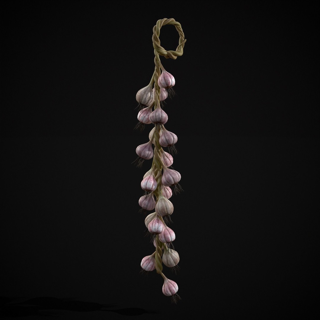 Hanging Garlic 3D Model – Low Poly PBR Asset, FBX & OBJ Formats - View 20