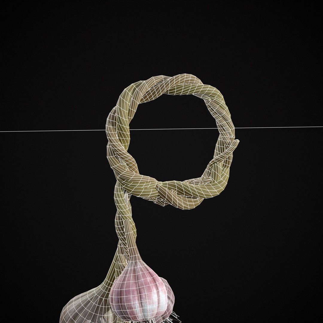 Hanging Garlic 3D Model – Low Poly PBR Asset, FBX & OBJ Formats - View 5