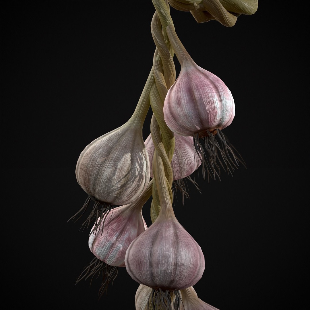 Hanging Garlic 3D Model – Low Poly PBR Asset, FBX & OBJ Formats - View 6