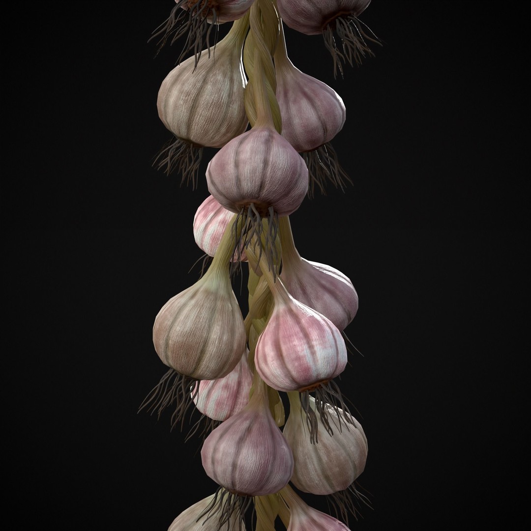 Hanging Garlic 3D Model – Low Poly PBR Asset, FBX & OBJ Formats - View 8