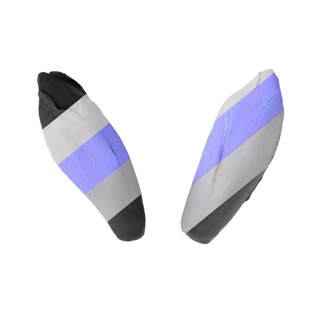 Belgian Endive 3D Model – High Poly Photogrammetry Asset, FBX/OBJ