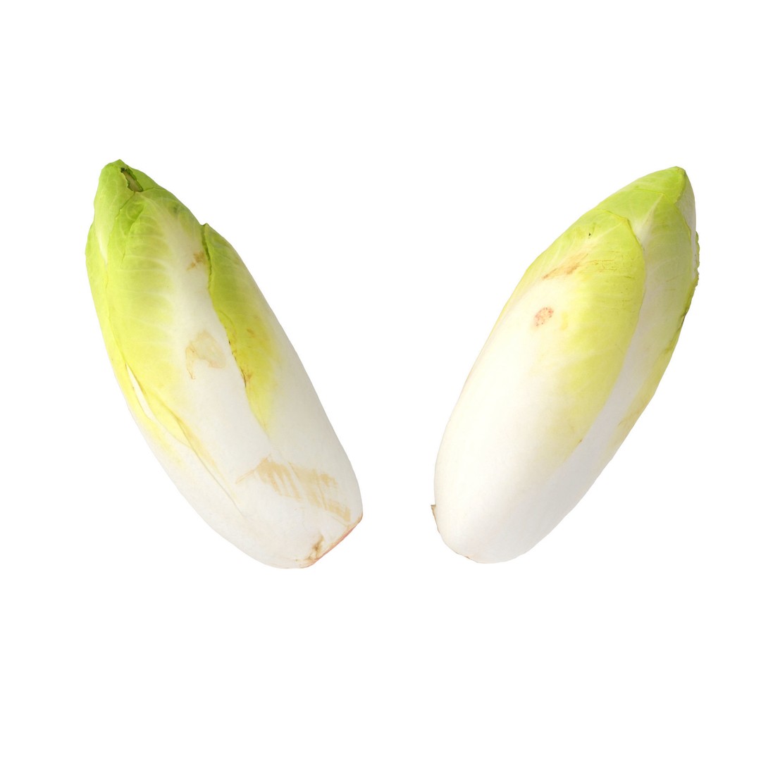 Belgian Endive 3D Model – High Poly Photogrammetry Asset, FBX/OBJ - View 10