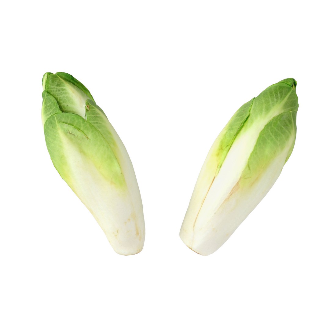 Belgian Endive 3D Model – High Poly Photogrammetry Asset, FBX/OBJ - View 11