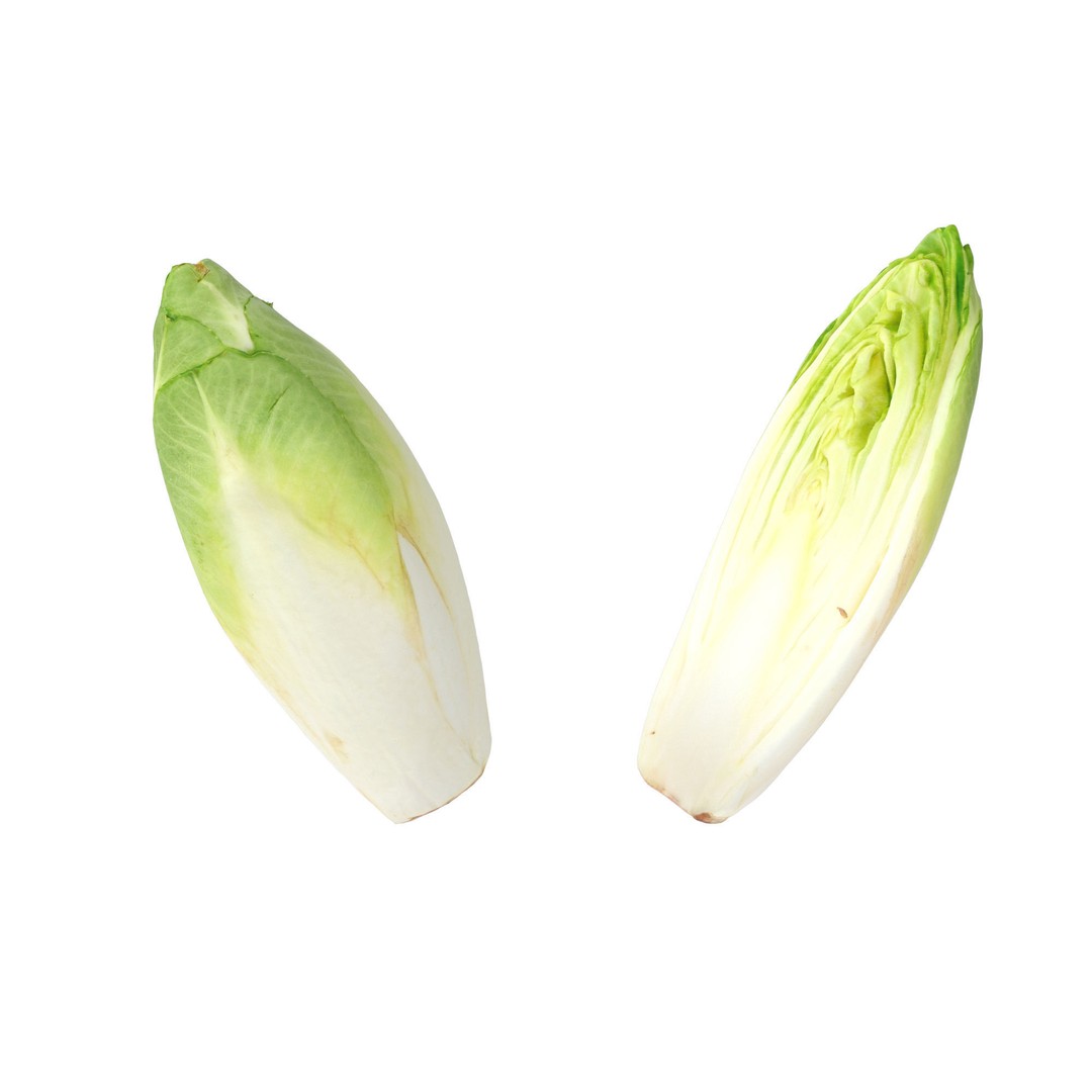 Belgian Endive 3D Model – High Poly Photogrammetry Asset, FBX/OBJ - View 12
