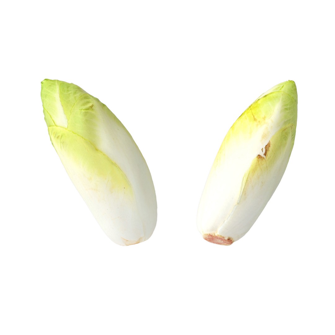 Belgian Endive 3D Model – High Poly Photogrammetry Asset, FBX/OBJ - View 13