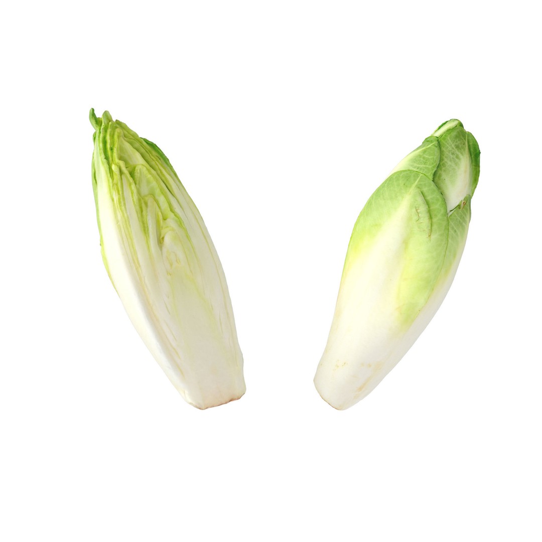 Belgian Endive 3D Model – High Poly Photogrammetry Asset, FBX/OBJ - View 14