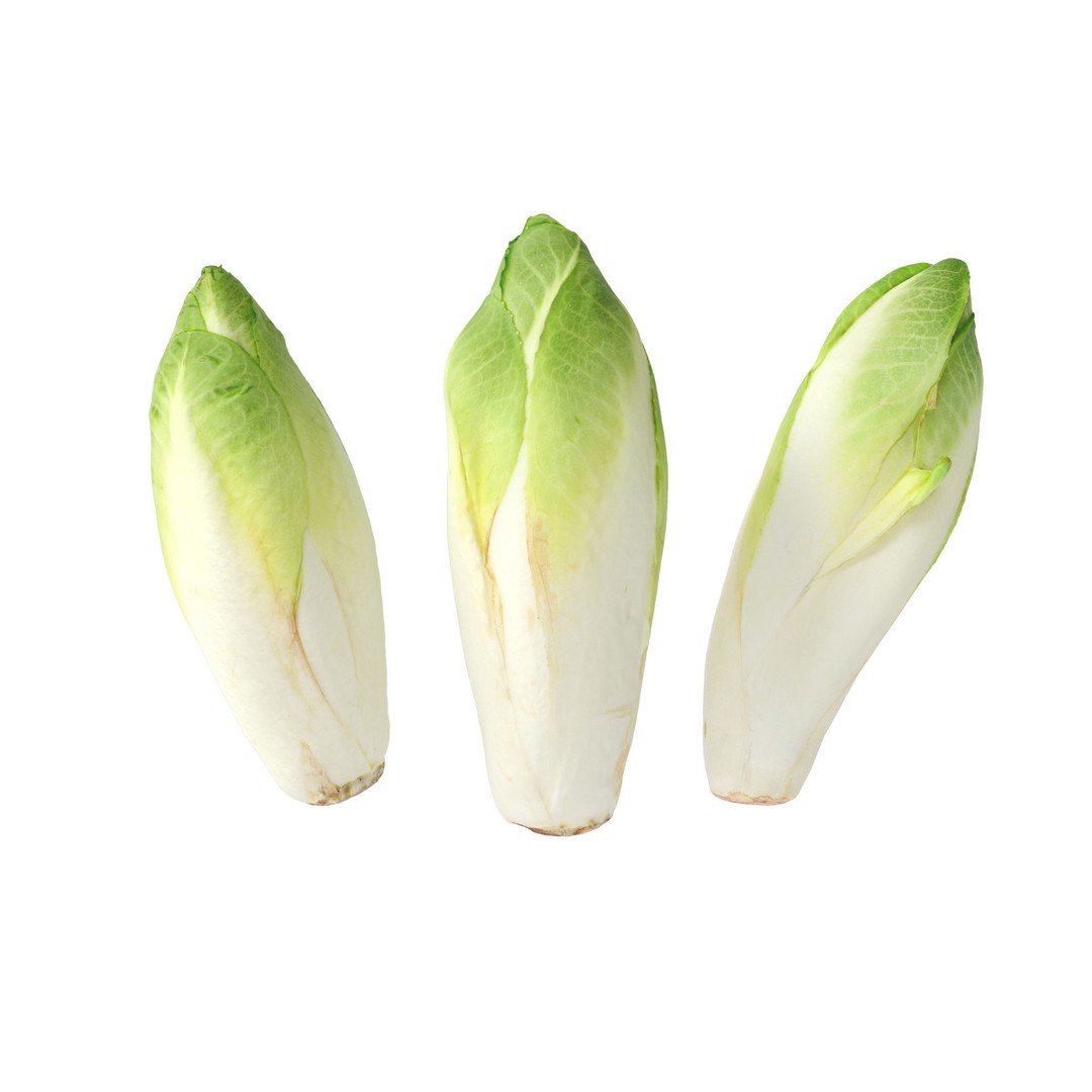 Belgian Endive 3D Model – High Poly Photogrammetry Asset, FBX/OBJ - View 15