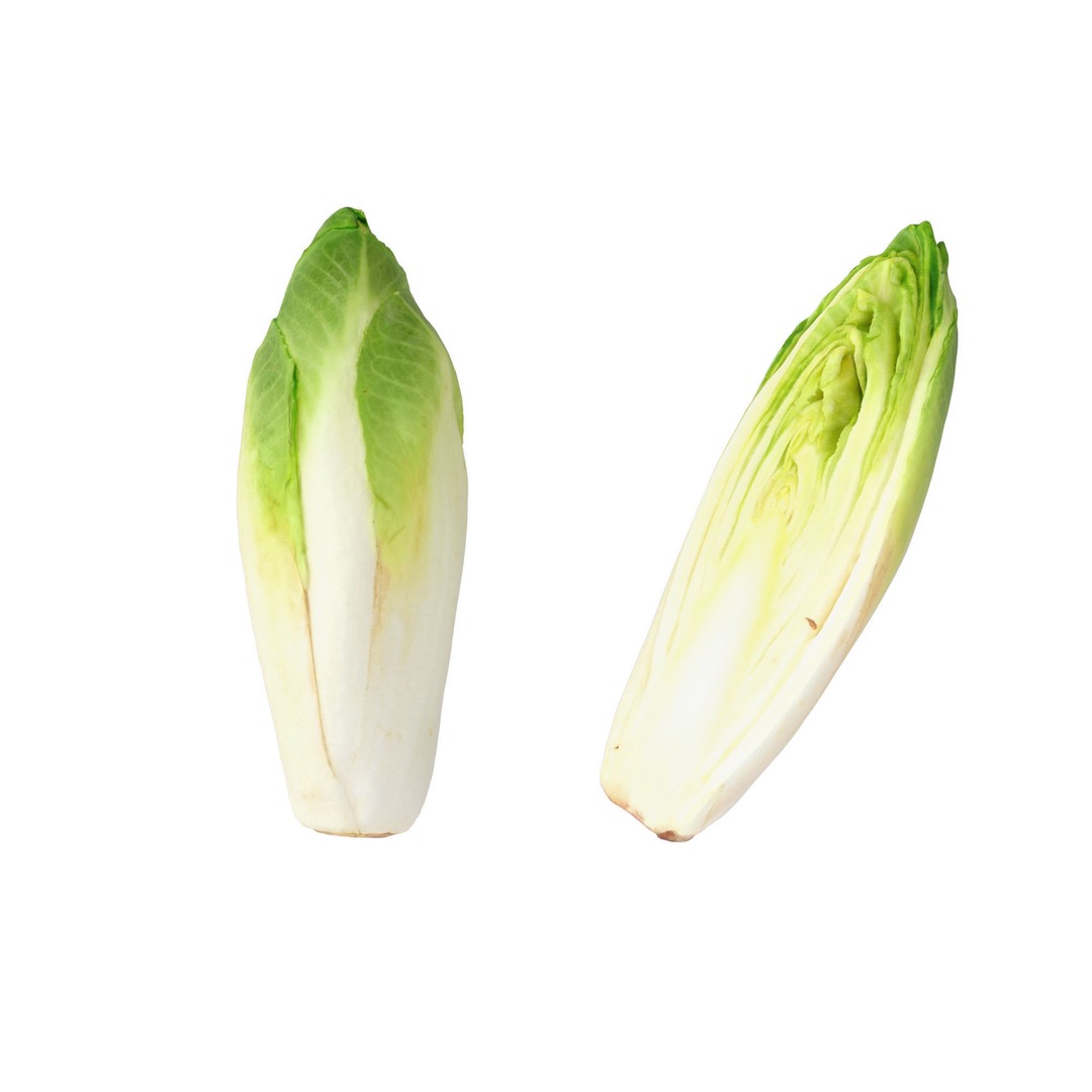 Belgian Endive 3D Model – High Poly Photogrammetry Asset, FBX/OBJ - View 16