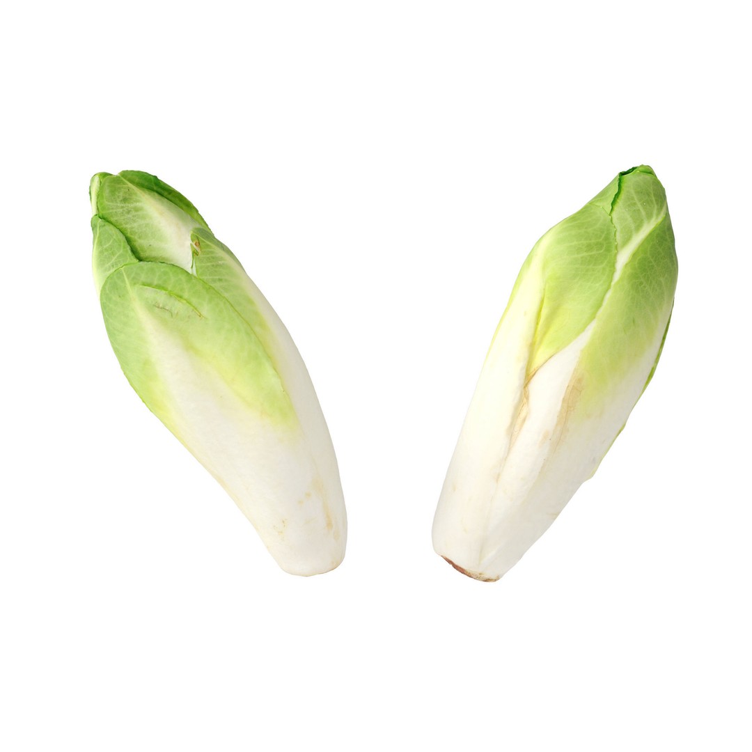 Belgian Endive 3D Model – High Poly Photogrammetry Asset, FBX/OBJ - View 17