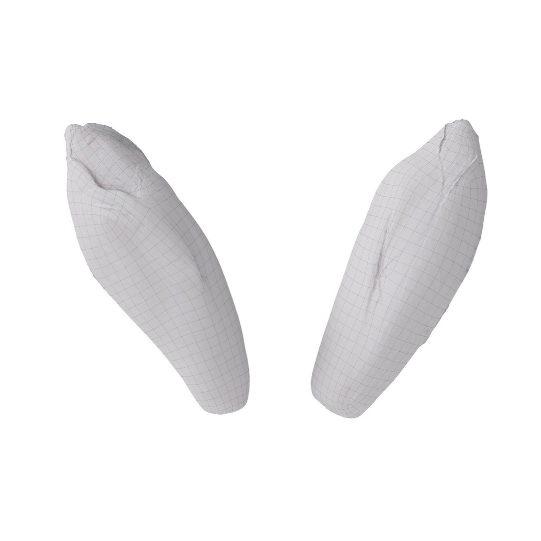 Belgian Endive 3D Model – High Poly Photogrammetry Asset, FBX/OBJ - View 18
