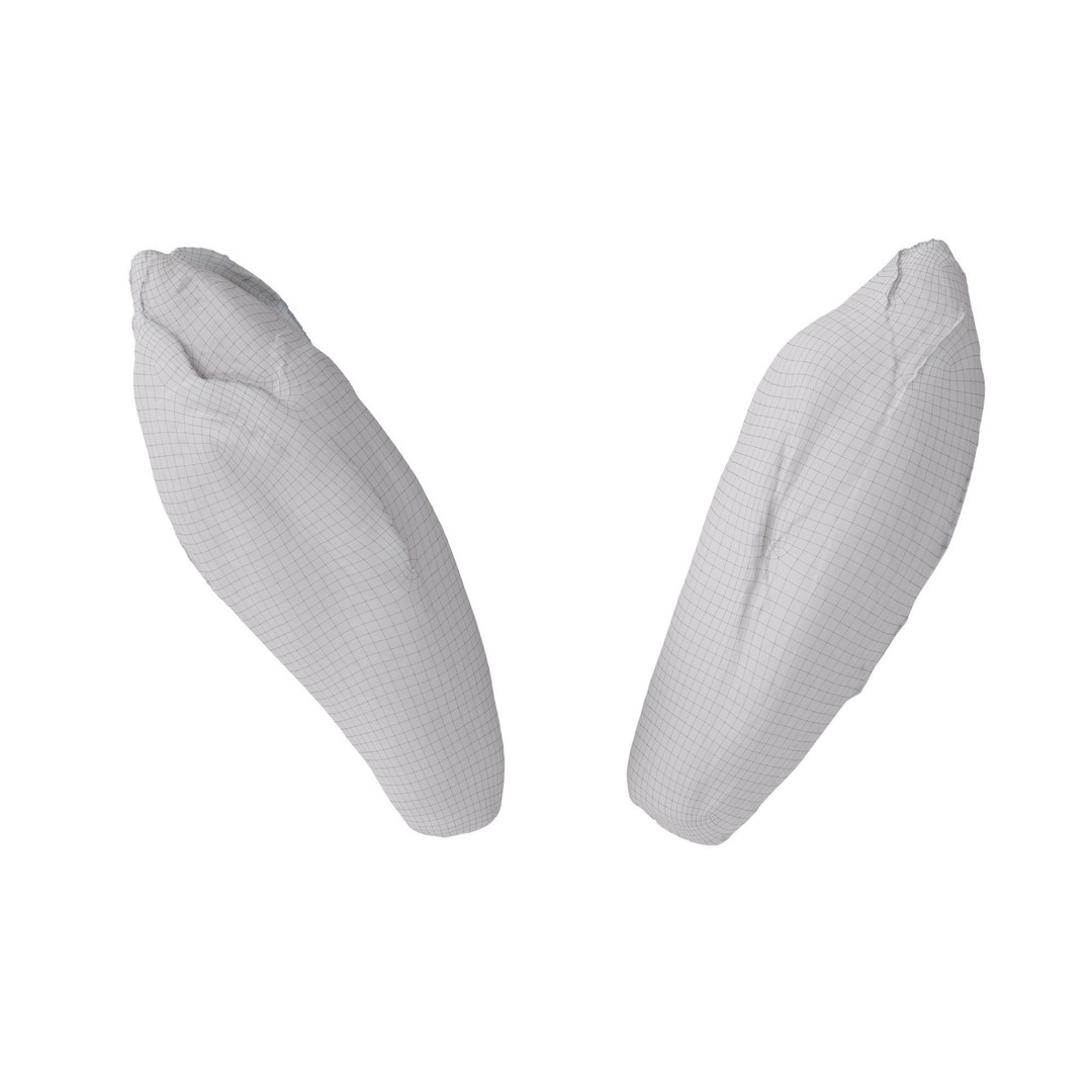 Belgian Endive 3D Model – High Poly Photogrammetry Asset, FBX/OBJ - View 19