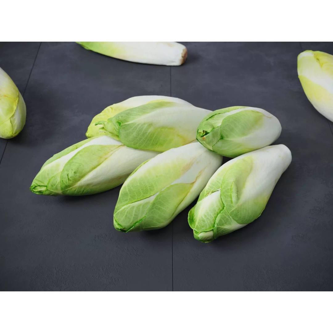 Belgian Endive 3D Model – High Poly Photogrammetry Asset, FBX/OBJ - View 2