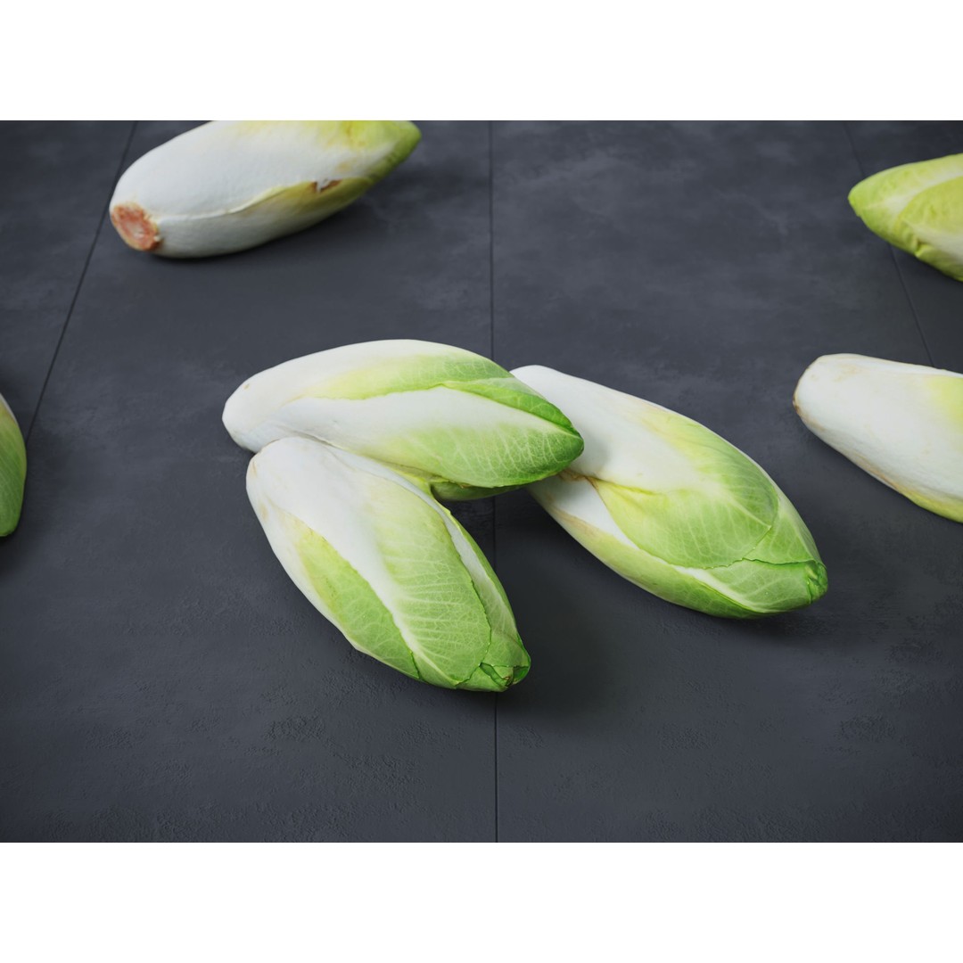 Belgian Endive 3D Model – High Poly Photogrammetry Asset, FBX/OBJ - View 3