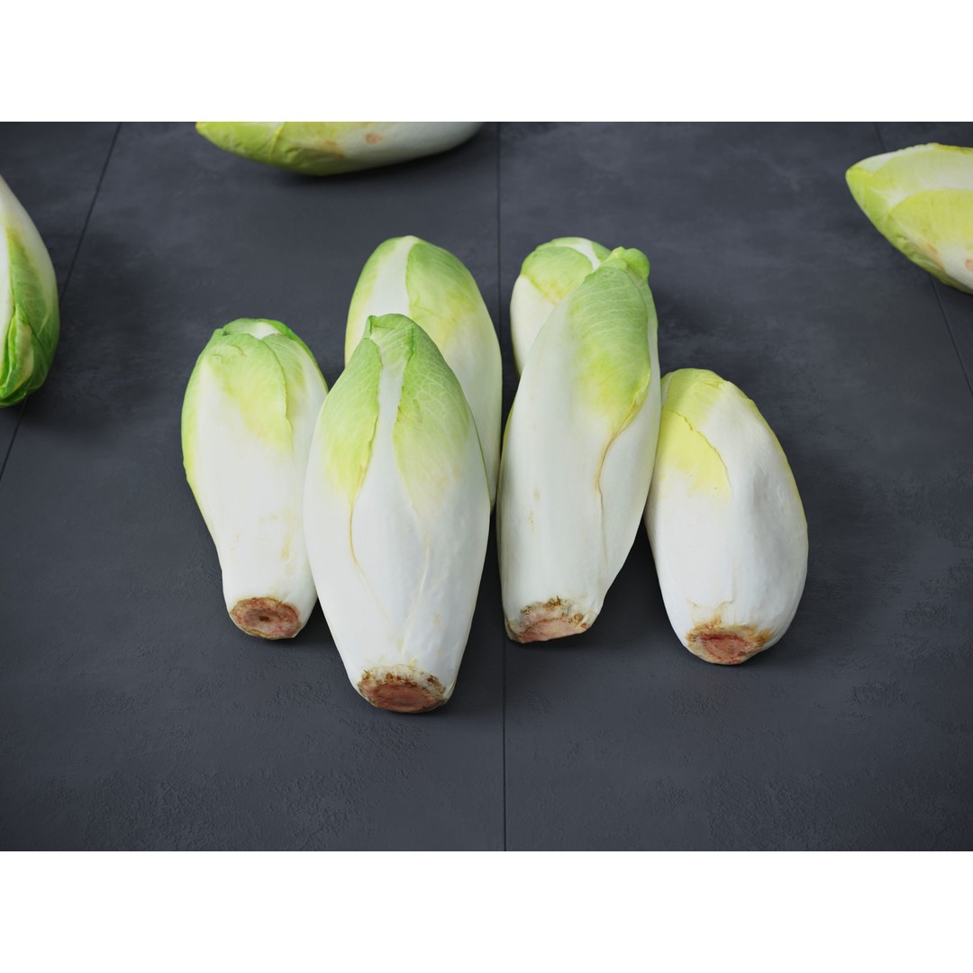 Belgian Endive 3D Model – High Poly Photogrammetry Asset, FBX/OBJ - View 4