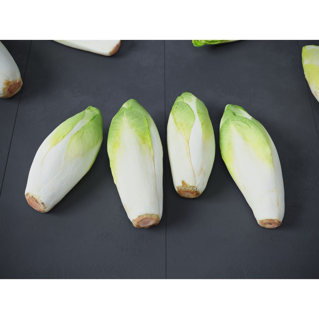 Belgian Endive 3D Model – High Poly Photogrammetry Asset, FBX/OBJ - View 5
