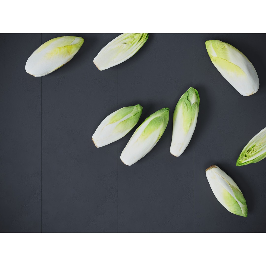Belgian Endive 3D Model – High Poly Photogrammetry Asset, FBX/OBJ - View 6