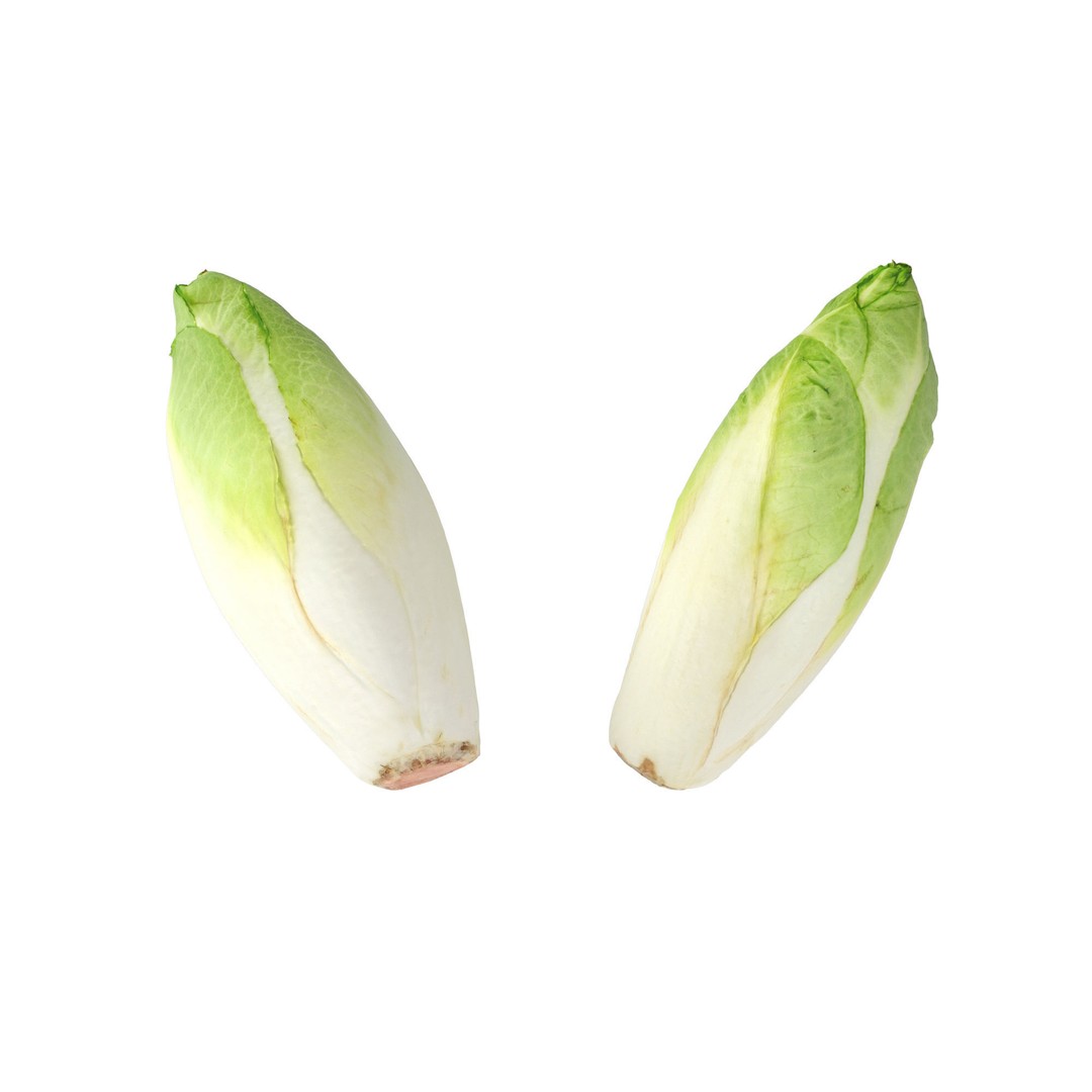 Belgian Endive 3D Model – High Poly Photogrammetry Asset, FBX/OBJ - View 7