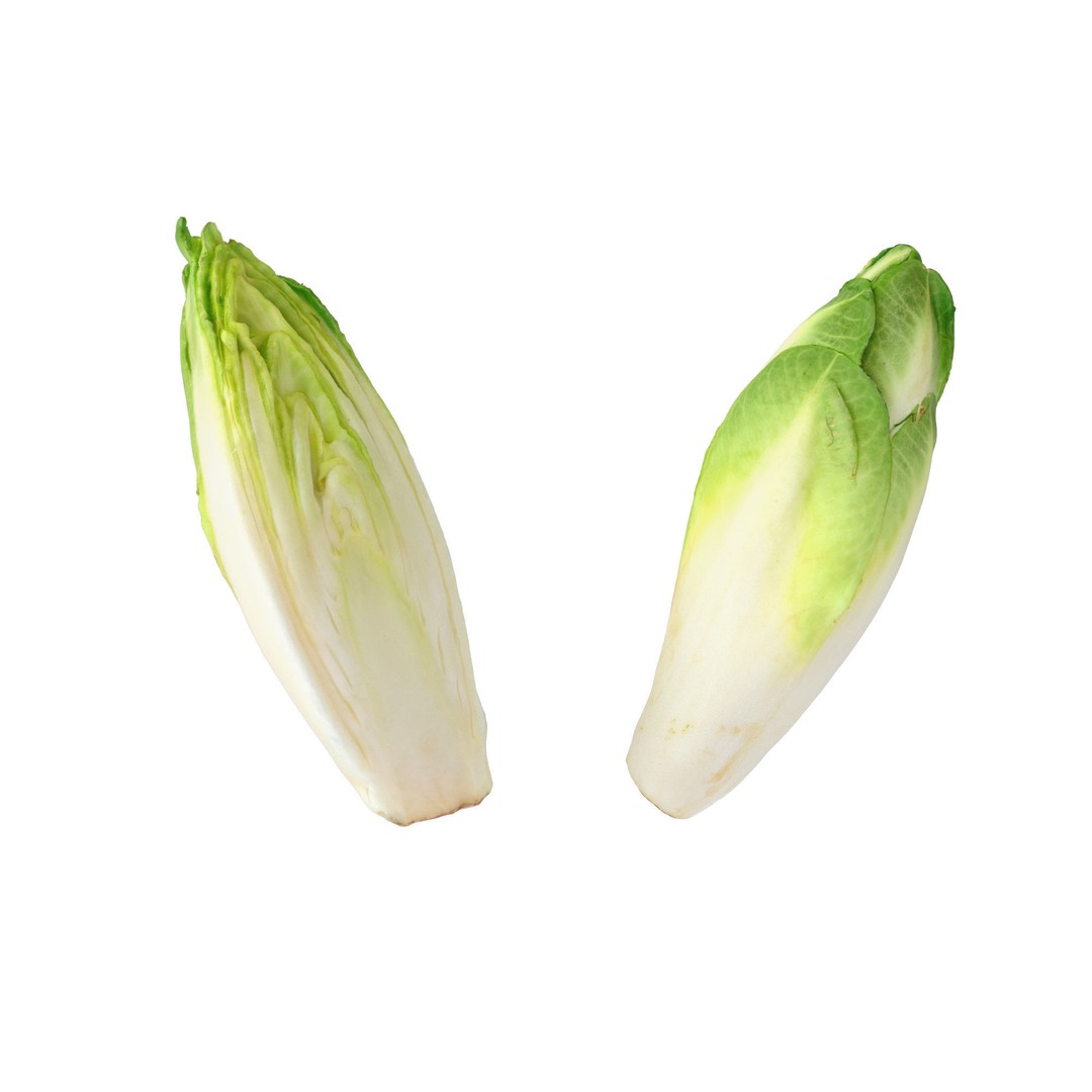 Belgian Endive 3D Model – High Poly Photogrammetry Asset, FBX/OBJ - View 9
