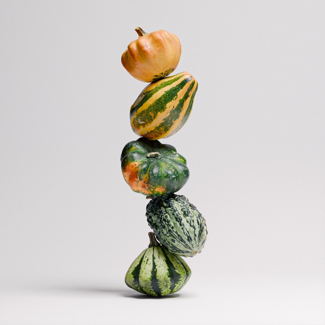 Gourds 3D Model – Photorealistic Vegetable Set with PBR Textures - View 3