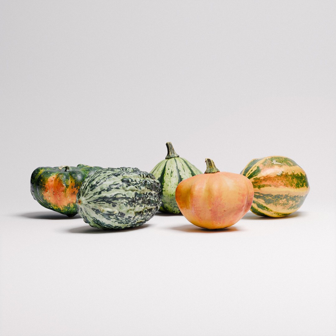 Gourds 3D Model – Photorealistic Vegetable Set with PBR Textures - View 4