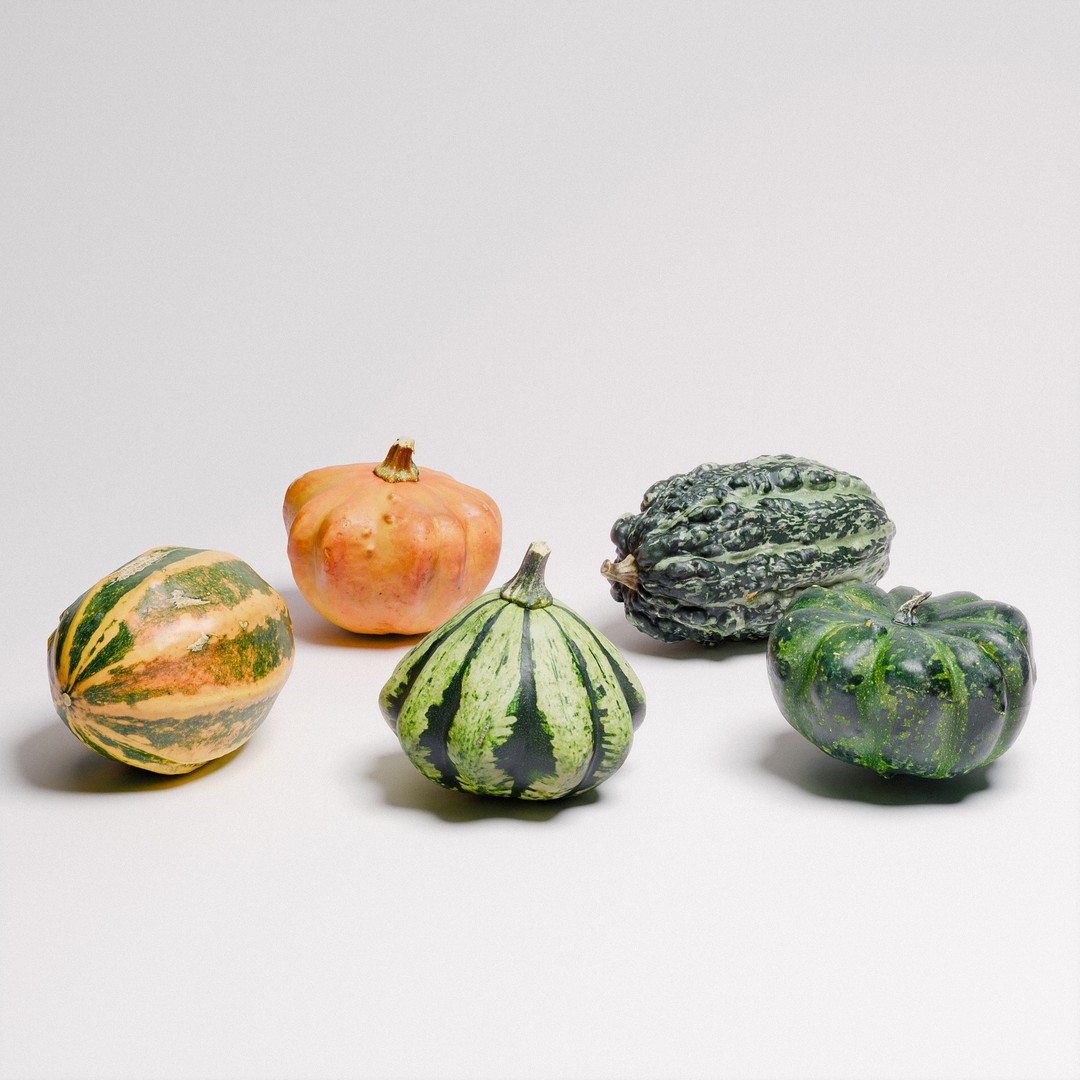 Gourds 3D Model – Photorealistic Vegetable Set with PBR Textures - View 5