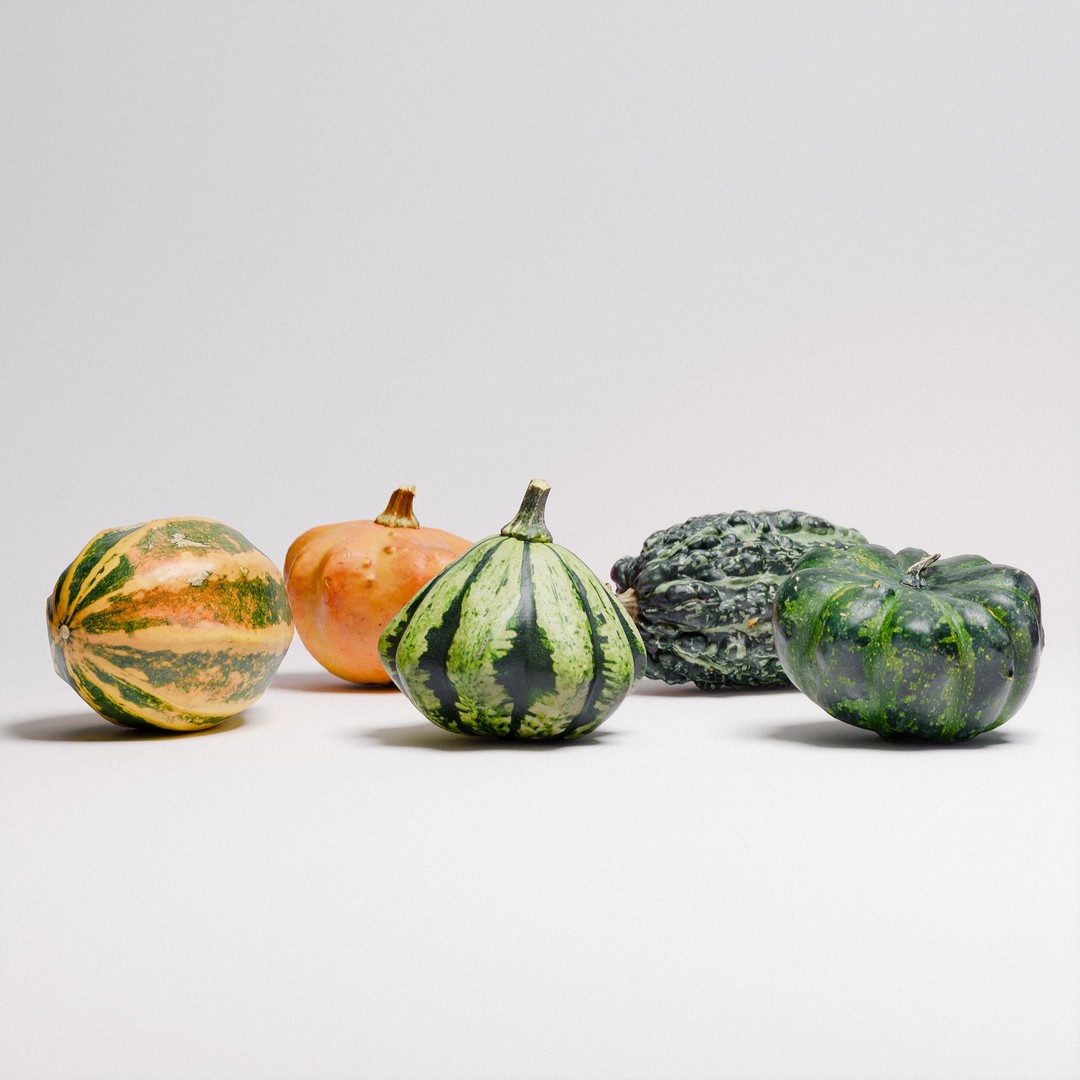 Gourds 3D Model – Photorealistic Vegetable Set with PBR Textures - View 6