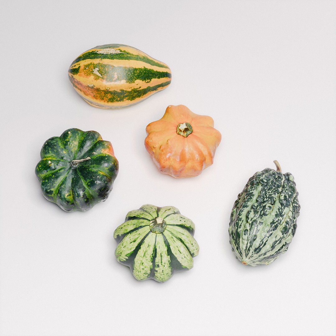 Gourds 3D Model – Photorealistic Vegetable Set with PBR Textures - View 7