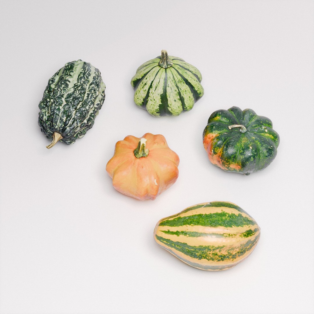 Gourds 3D Model – Photorealistic Vegetable Set with PBR Textures - View 8