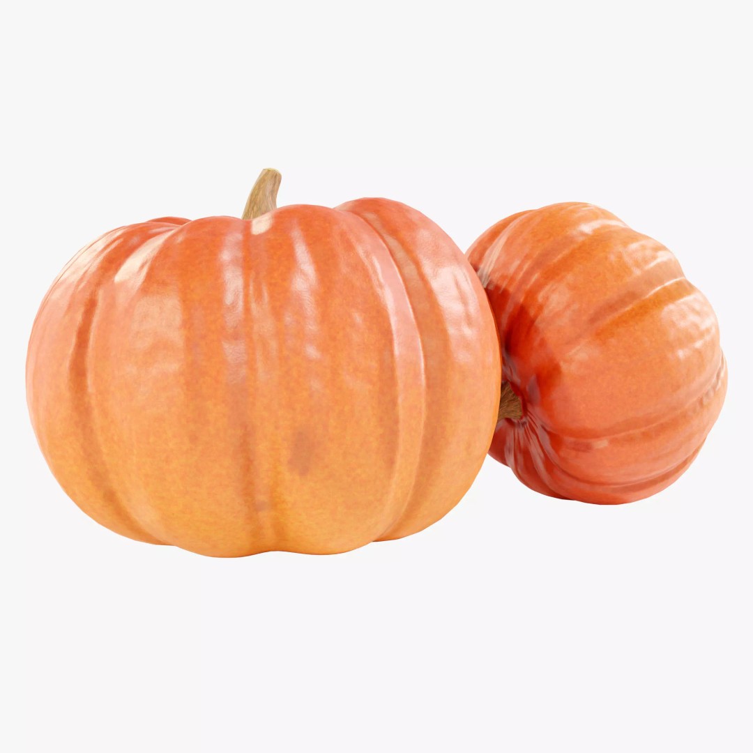 Pumpkin 3D Model – Real-World Scale PBR Game Asset, FBX - View 2