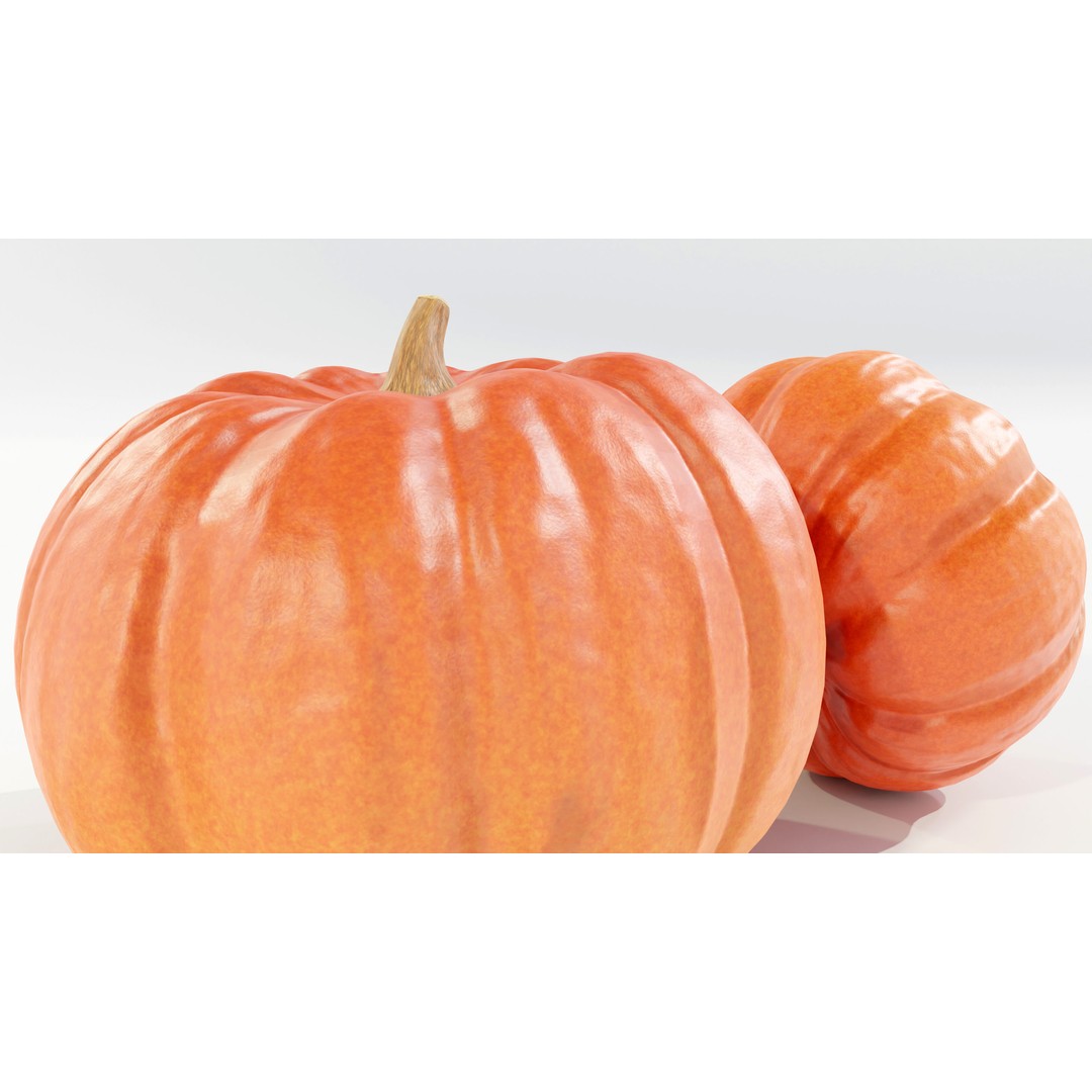 Pumpkin 3D Model – Real-World Scale PBR Game Asset, FBX - View 9