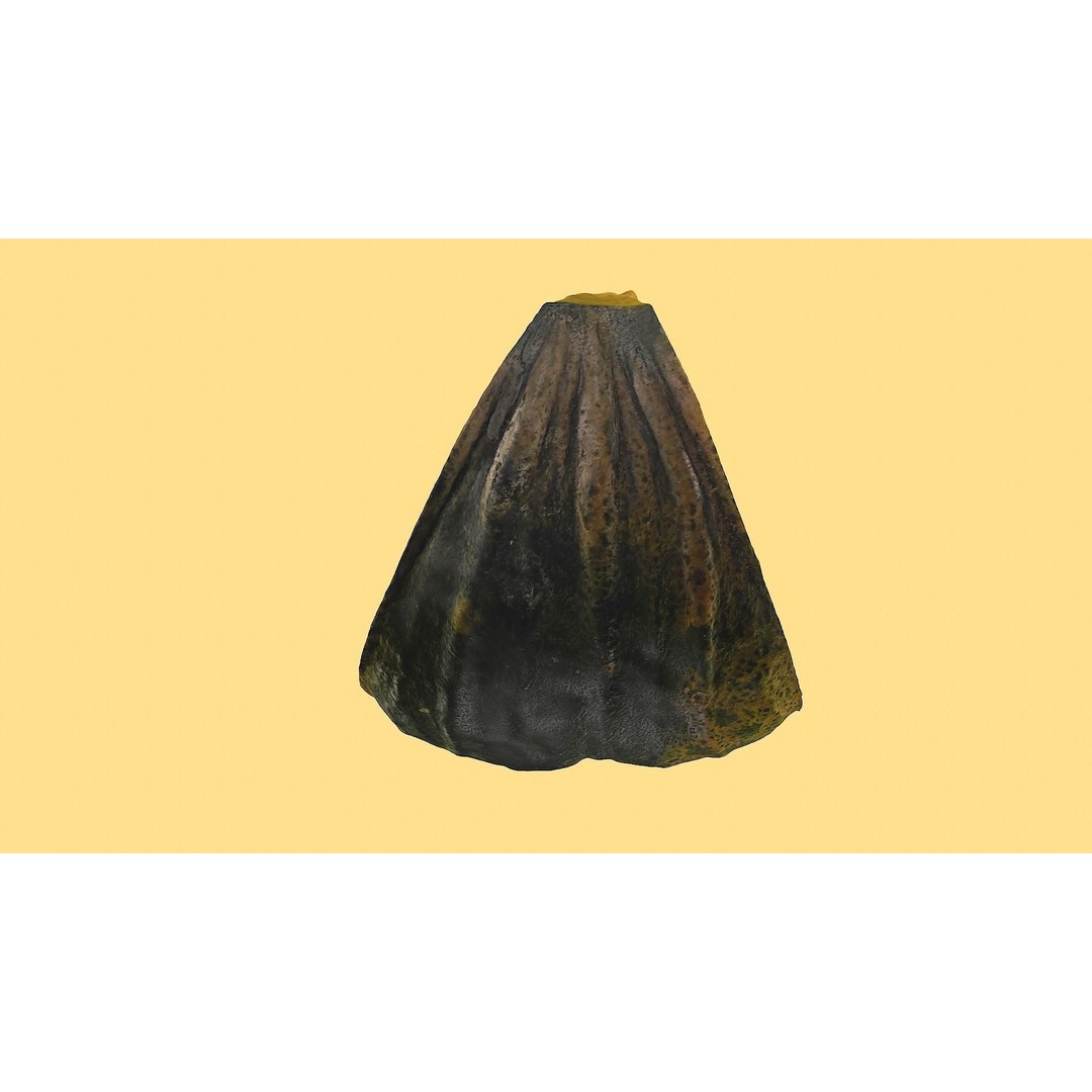 Realistic Pumpkin 3D Model – Low Poly Game Asset, FBX, Blender - View 4