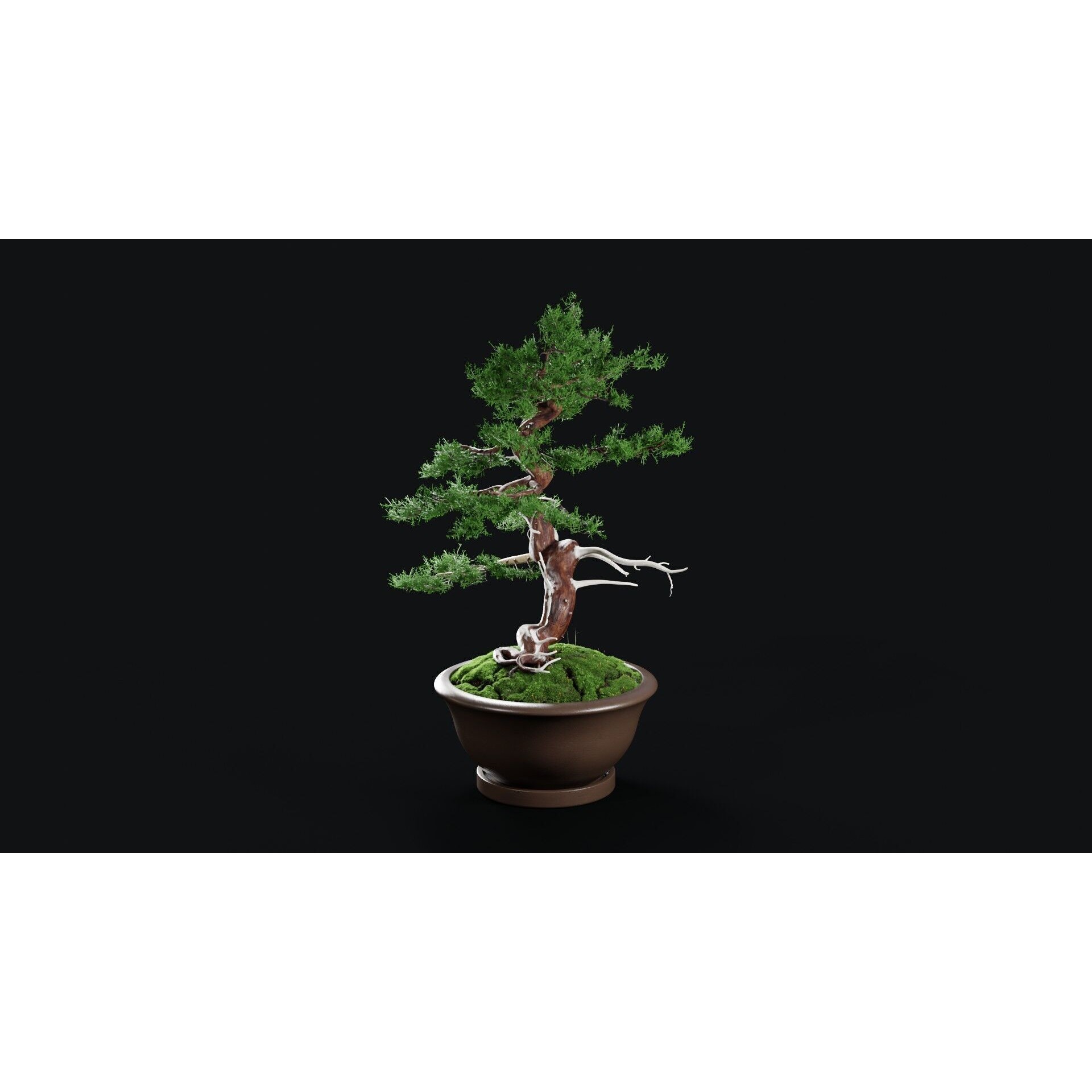 Chinese Juniper Bonsai - Low-Poly Game-Ready 3D Model - View 10