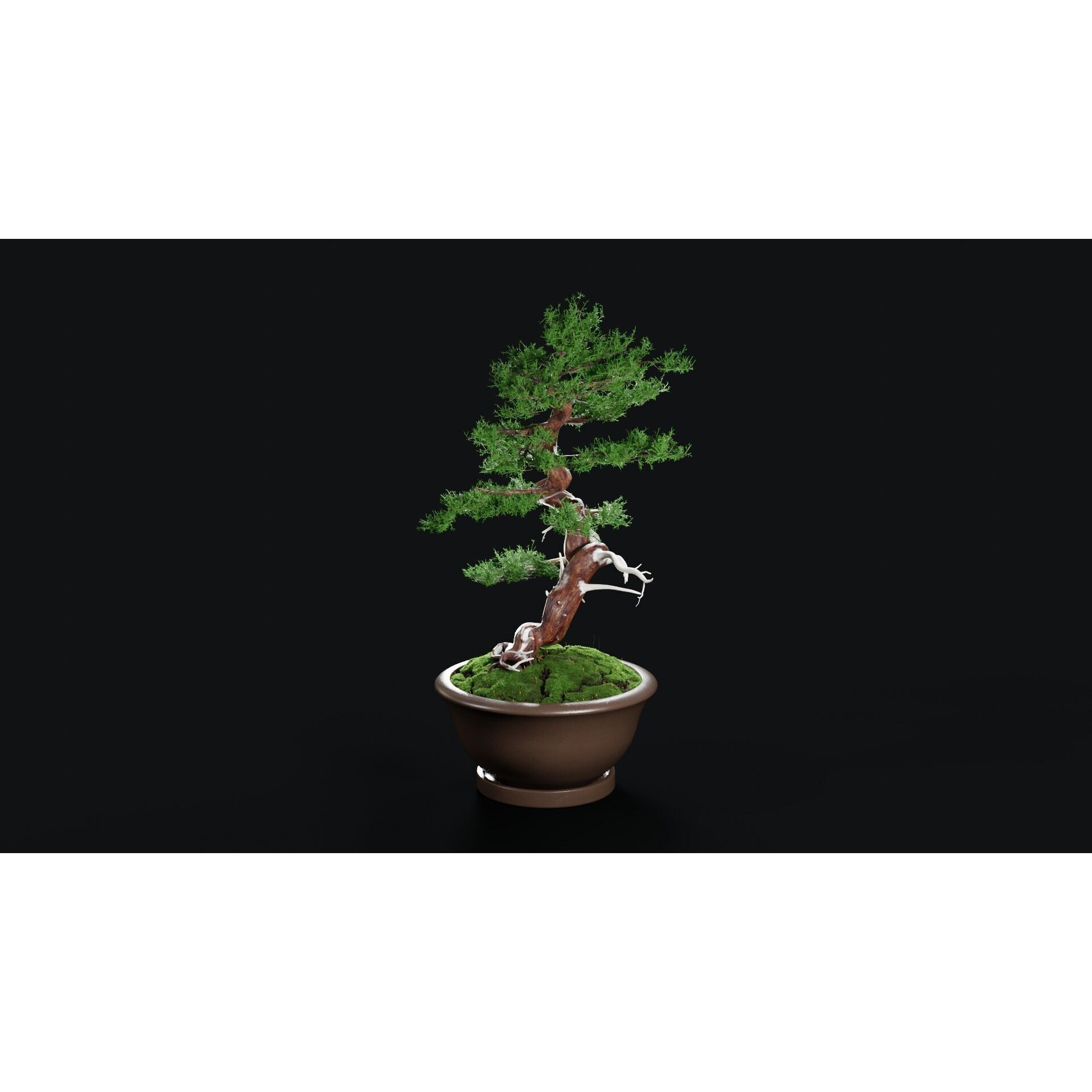 Chinese Juniper Bonsai - Low-Poly Game-Ready 3D Model - View 11