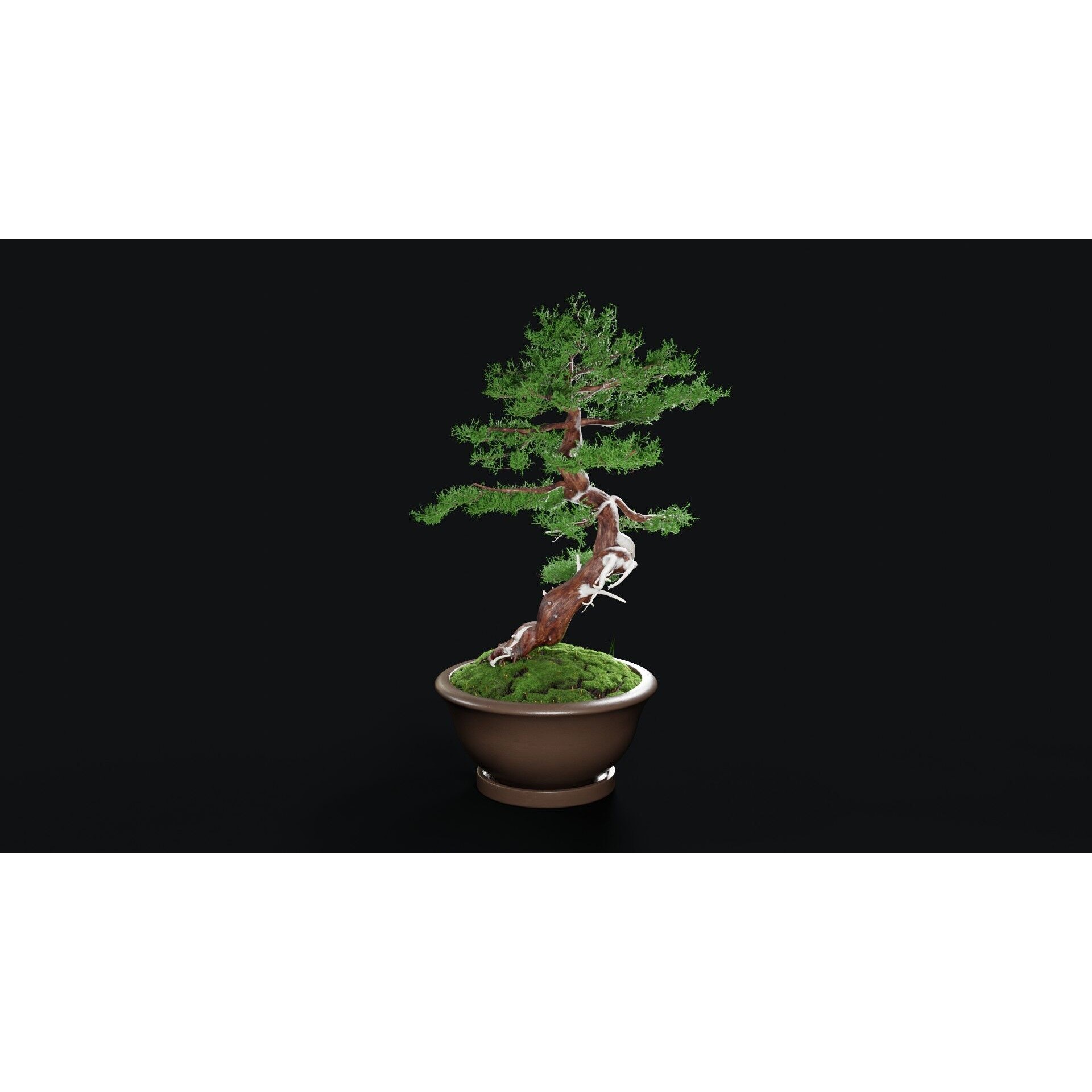Chinese Juniper Bonsai - Low-Poly Game-Ready 3D Model - View 12