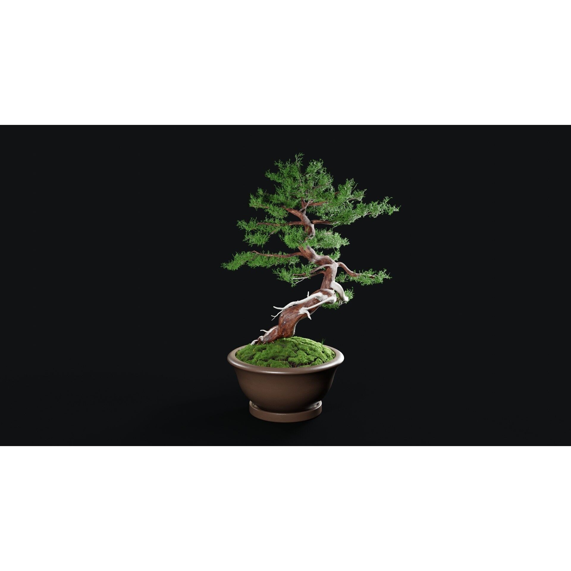 Chinese Juniper Bonsai - Low-Poly Game-Ready 3D Model - View 13