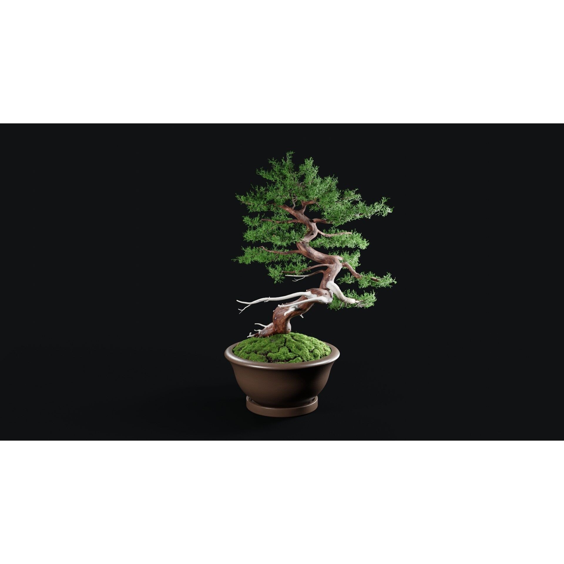 Chinese Juniper Bonsai - Low-Poly Game-Ready 3D Model - View 14