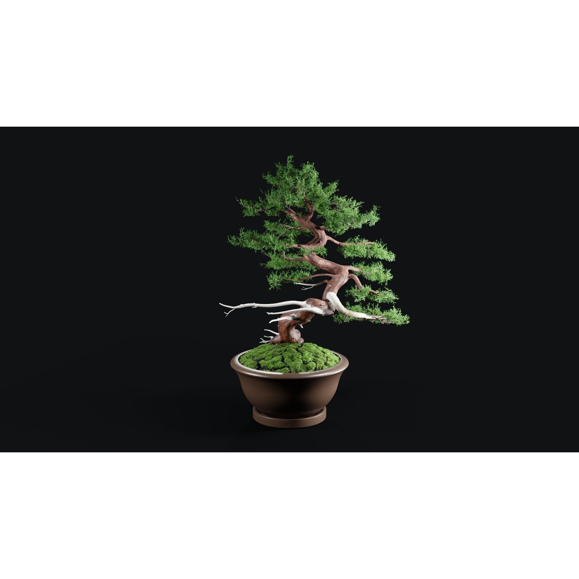 Chinese Juniper Bonsai - Low-Poly Game-Ready 3D Model - View 15
