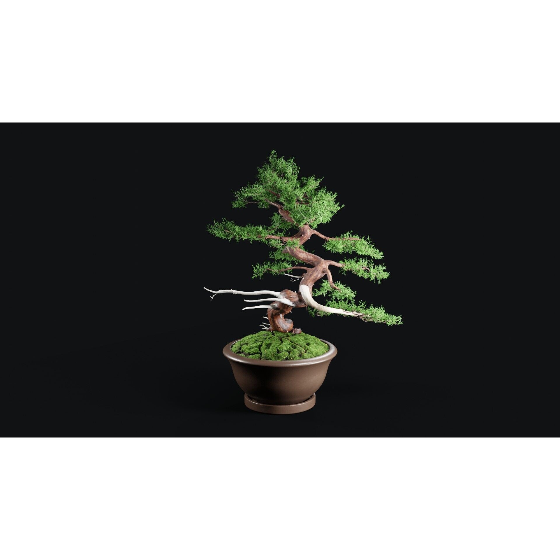 Chinese Juniper Bonsai - Low-Poly Game-Ready 3D Model - View 16