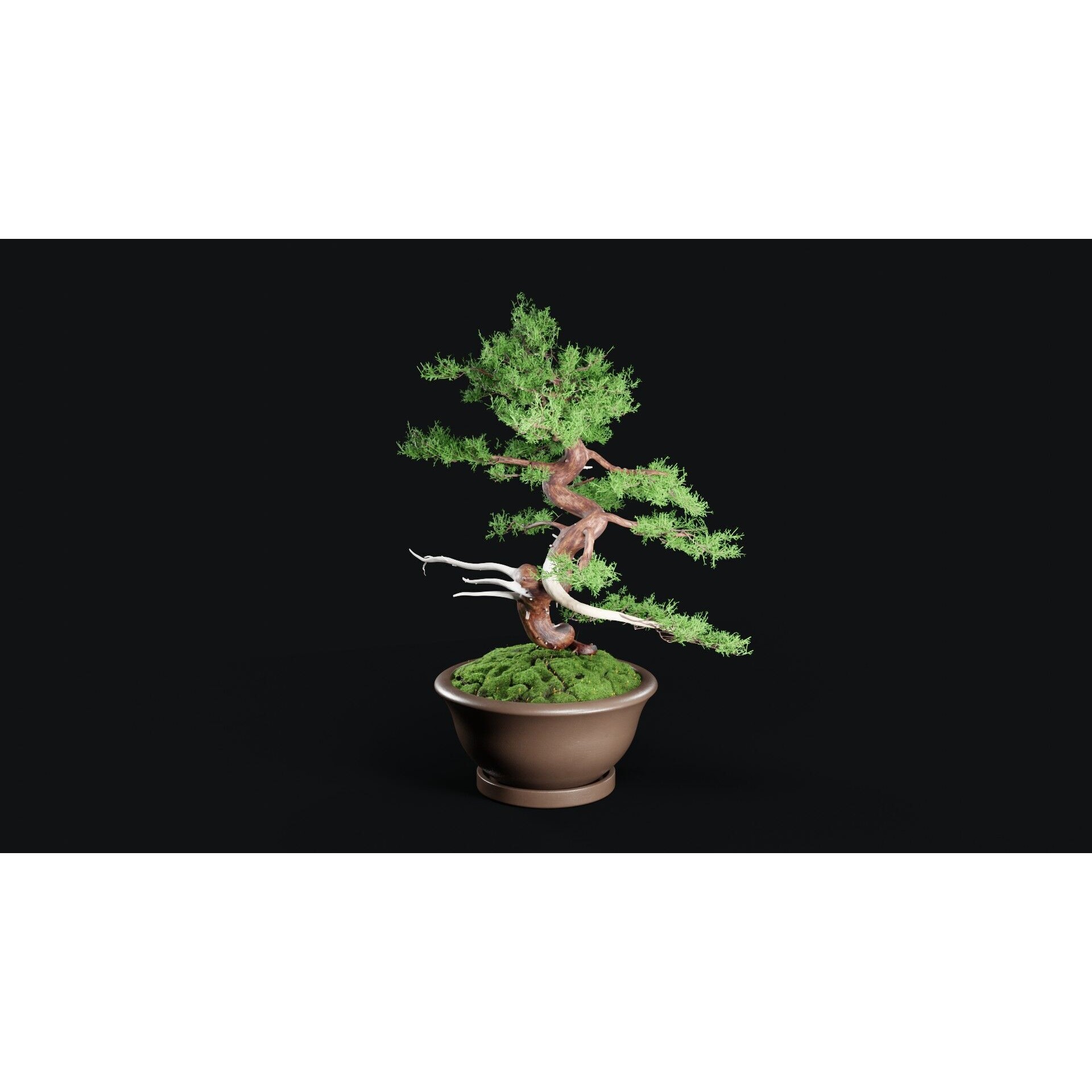 Chinese Juniper Bonsai - Low-Poly Game-Ready 3D Model - View 17
