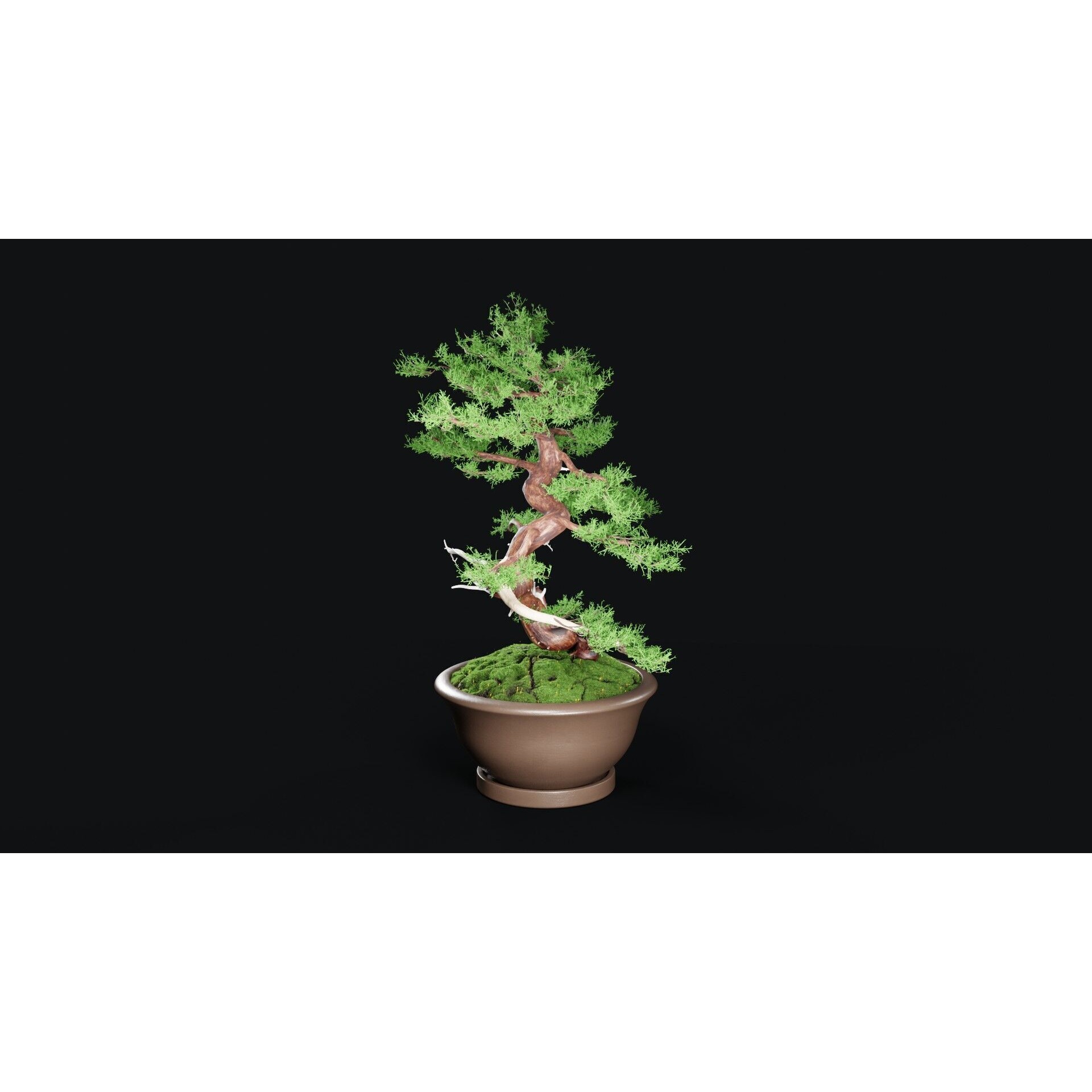 Chinese Juniper Bonsai - Low-Poly Game-Ready 3D Model - View 18