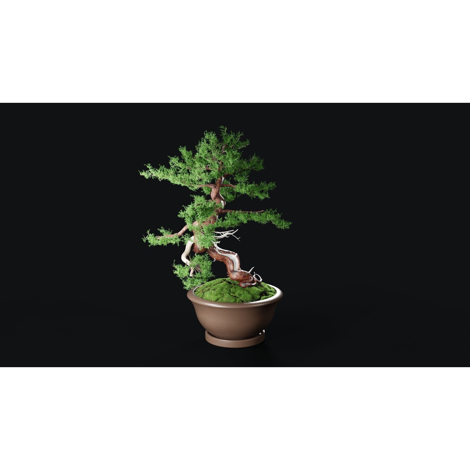 Chinese Juniper Bonsai - Low-Poly Game-Ready 3D Model - View 20