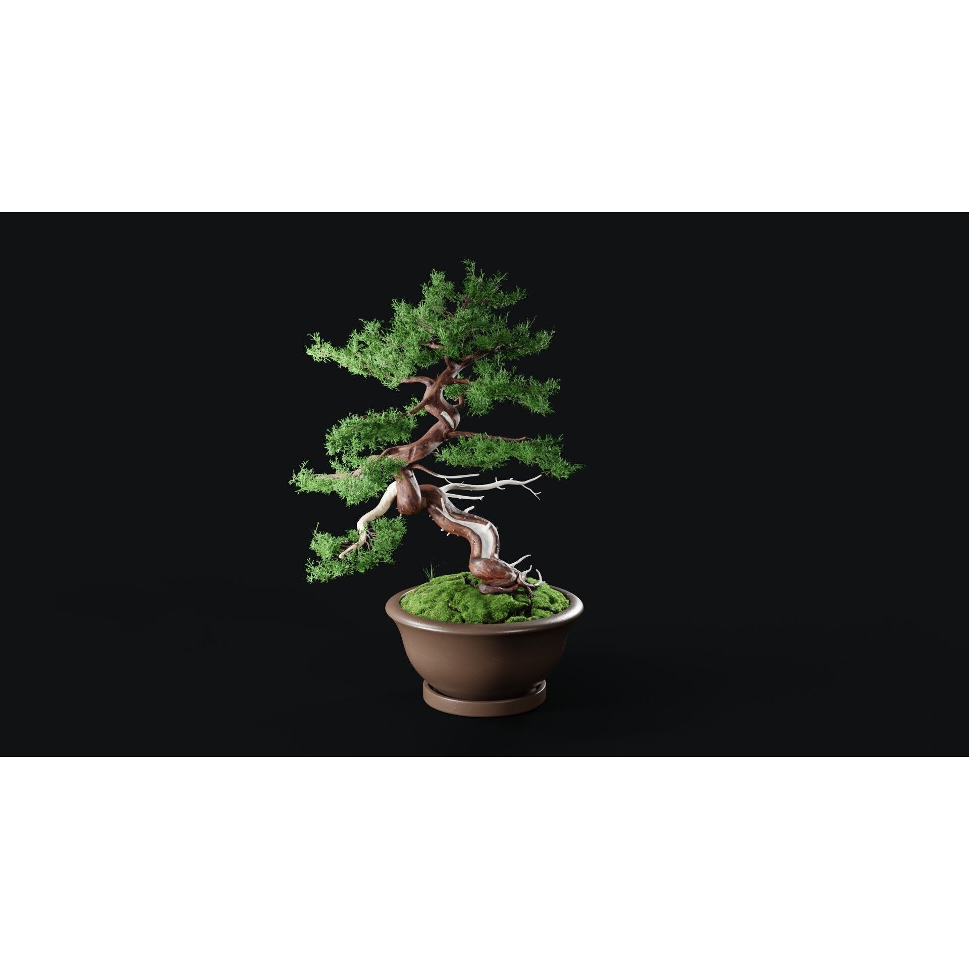Chinese Juniper Bonsai - Low-Poly Game-Ready 3D Model - View 21