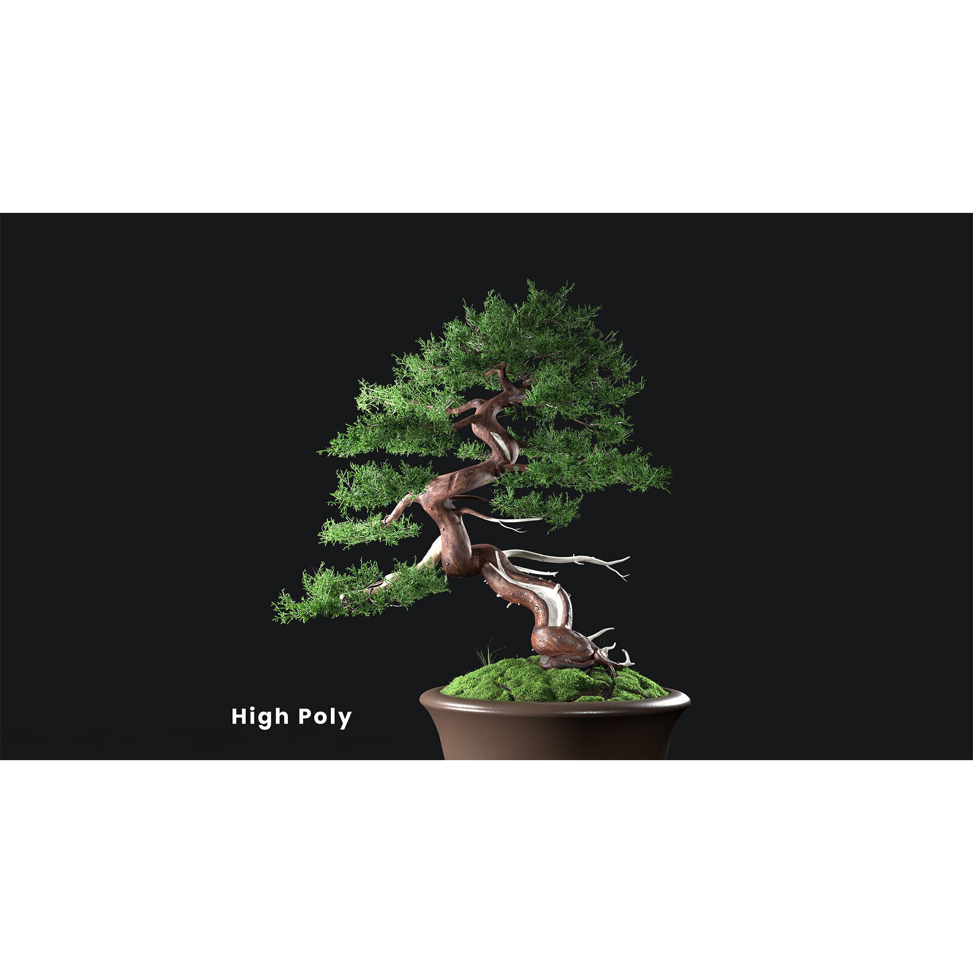 Chinese Juniper Bonsai - Low-Poly Game-Ready 3D Model - View 22