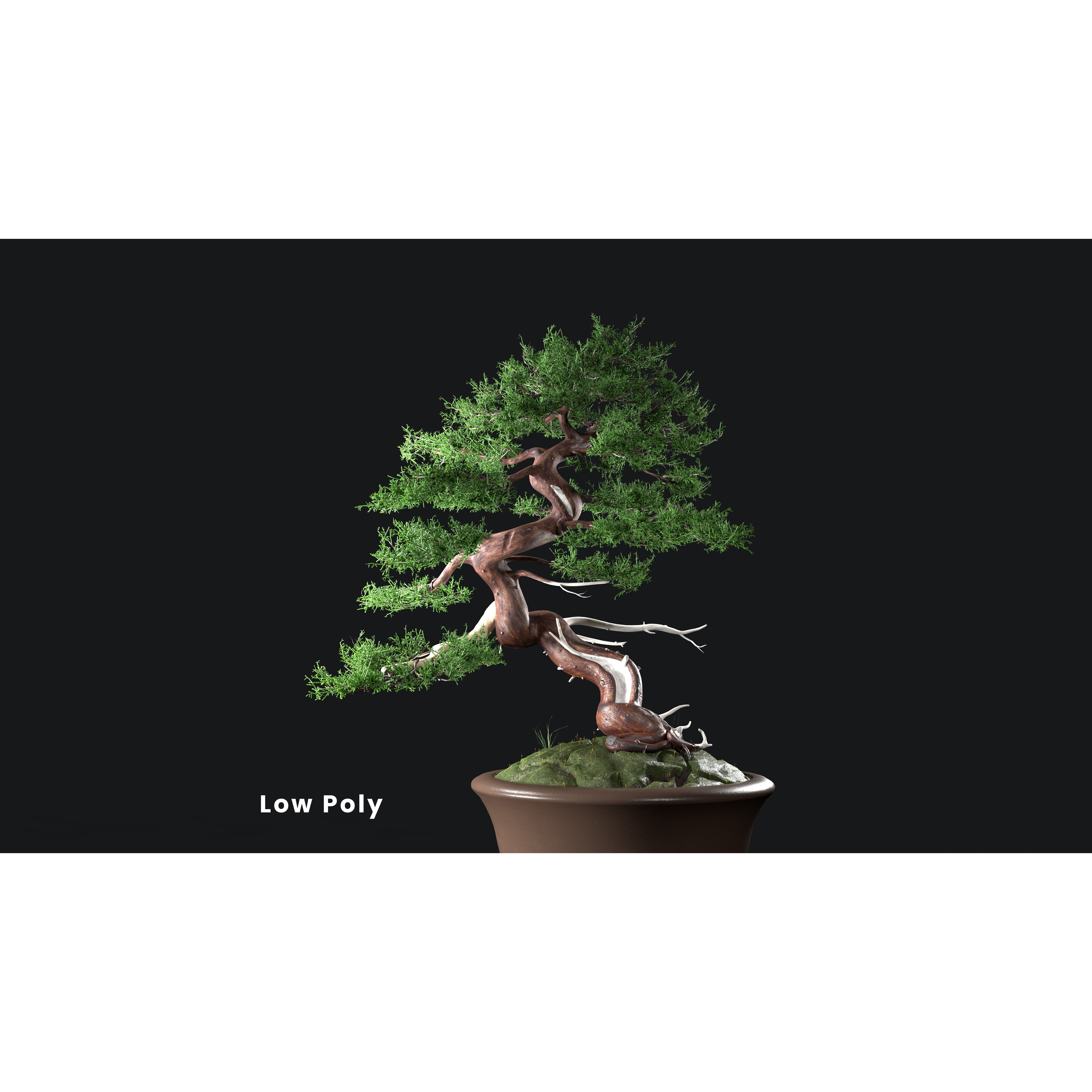 Chinese Juniper Bonsai - Low-Poly Game-Ready 3D Model - View 23