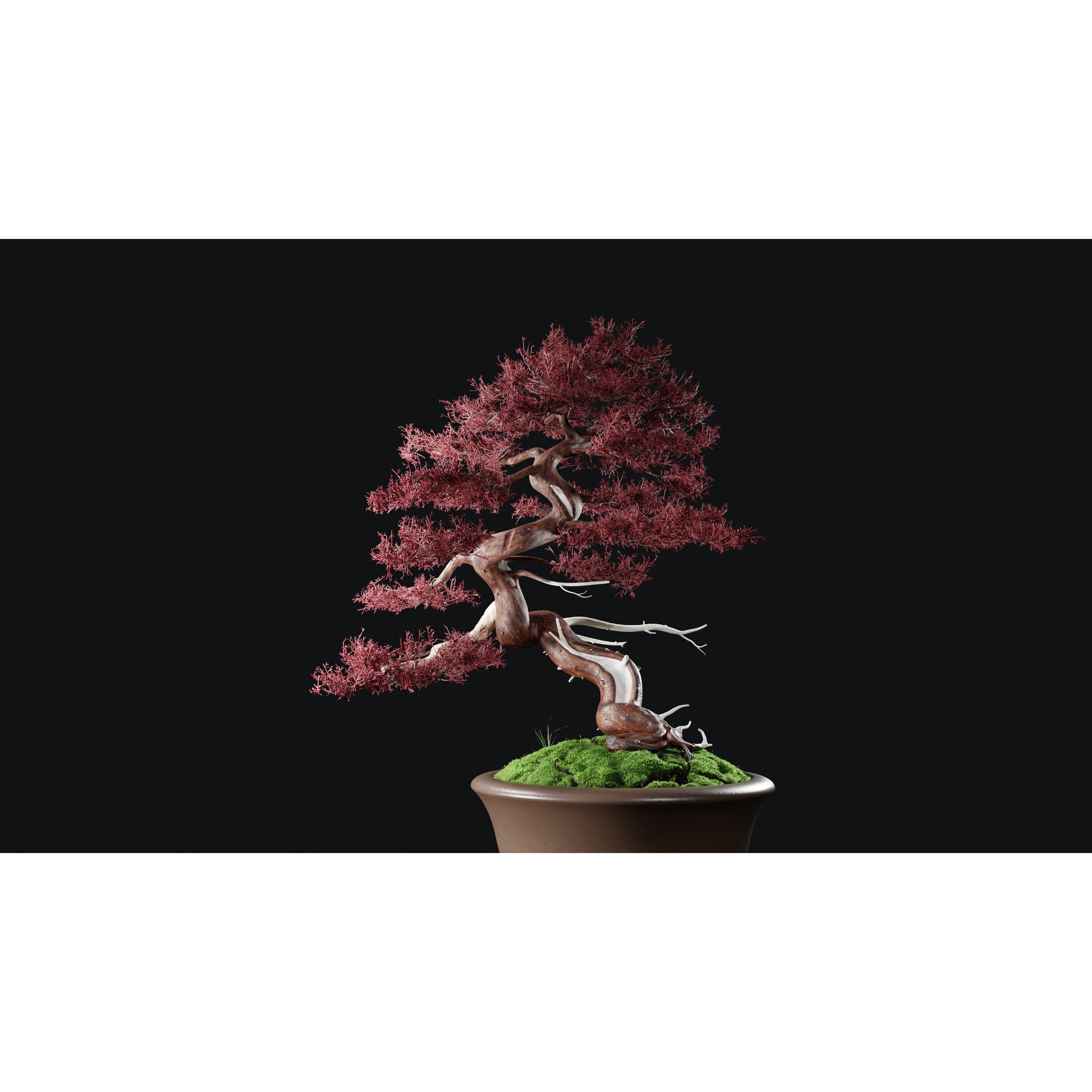 Chinese Juniper Bonsai - Low-Poly Game-Ready 3D Model - View 24