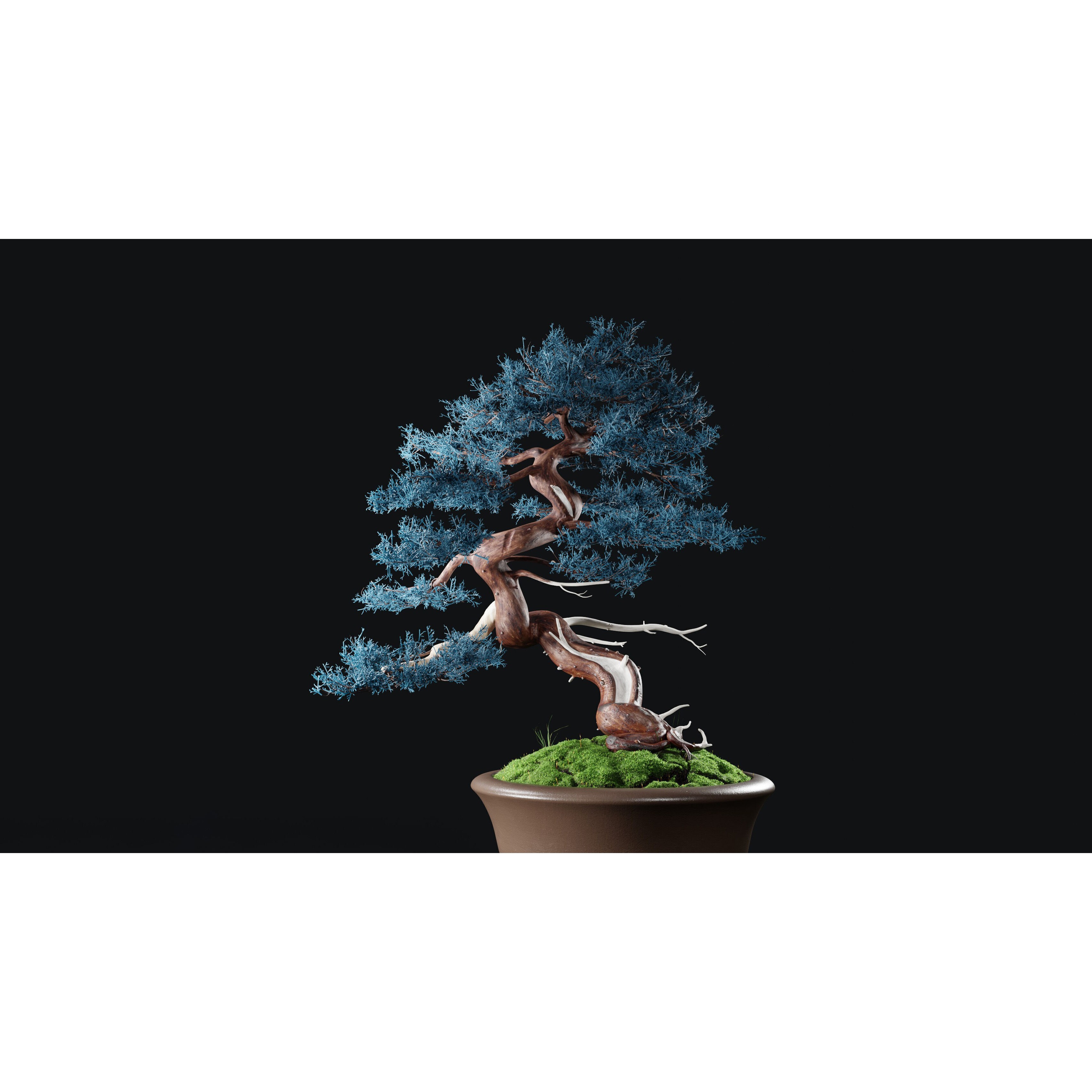 Chinese Juniper Bonsai - Low-Poly Game-Ready 3D Model - View 25